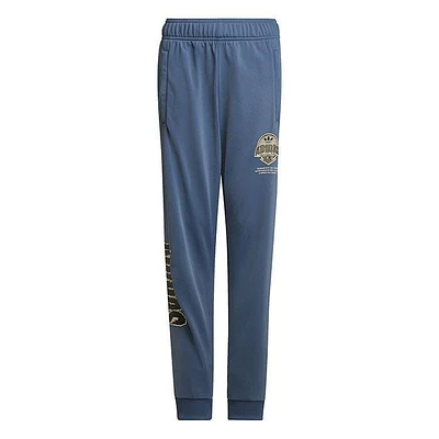 Junior Boys' [8-16] Graphic Track Pant