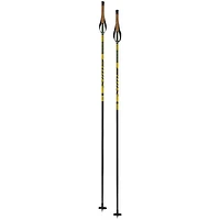 Infinity Basic Alu Ski Pole [2023]