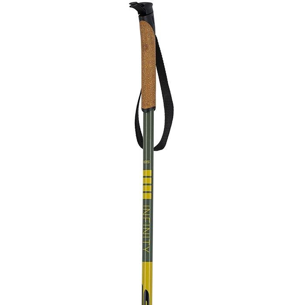 Infinity Basic Alu Ski Pole [2023]