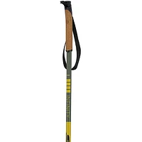Infinity Basic Alu Ski Pole [2023]