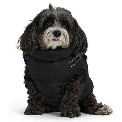 Atlas Dog Jacket (XS/S/M)