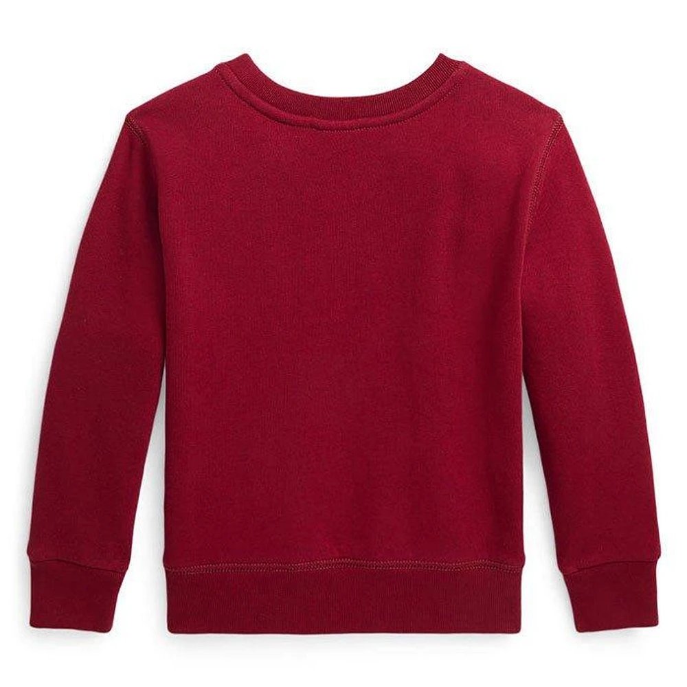 Boys' [2-4] Polo Bear Fleece Sweatshirt