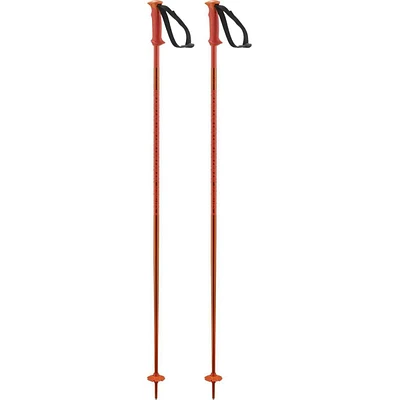 Polar Ski Pole [2025]