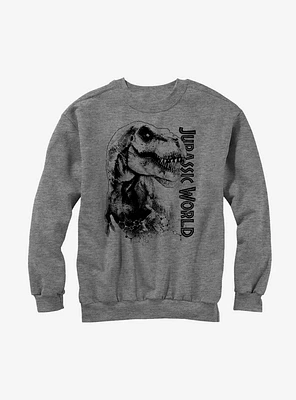 Jurassic World T. Rex Carnivore Sweatshirt