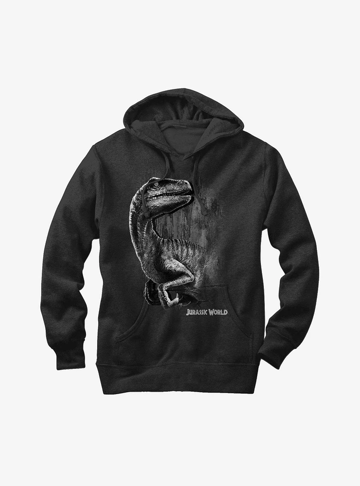 Jurassic World Blue The Velociraptor Hoodie