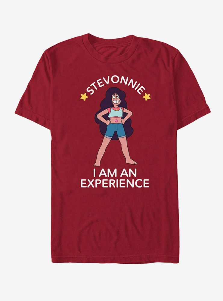 Steven Universe Stevonnie An Experience T-Shirt