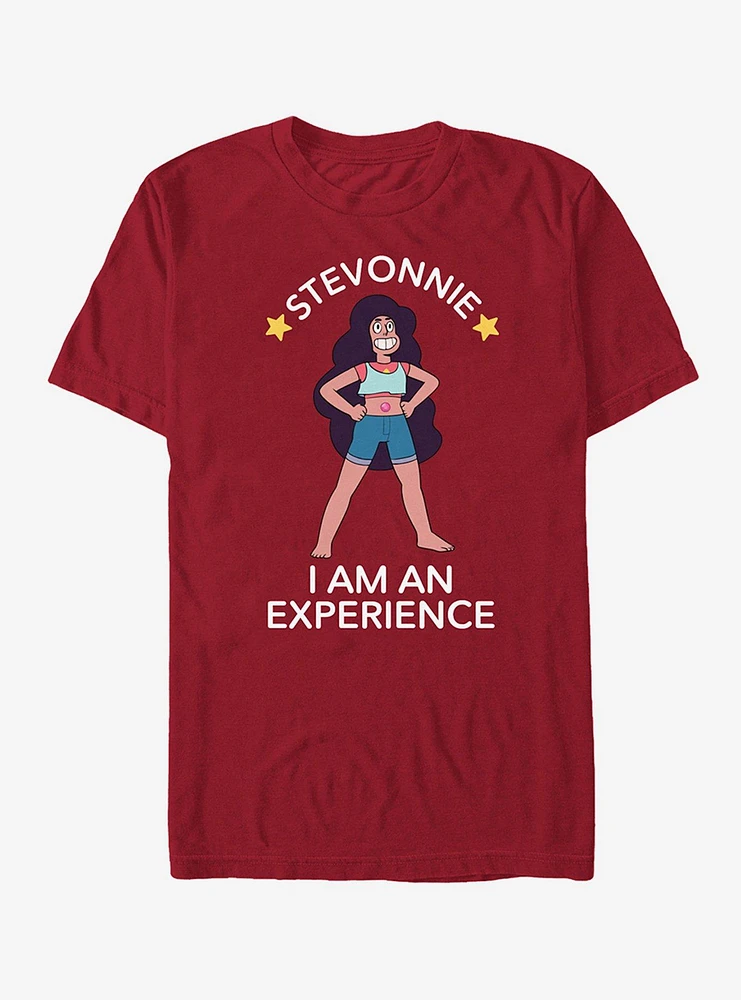 Steven Universe Stevonnie An Experience T-Shirt