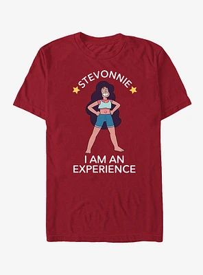 Steven Universe Stevonnie An Experience T-Shirt