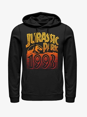 Retro 1993 Hoodie