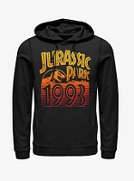 Retro 1993 Hoodie