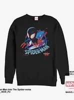 Marvel Spider-Man Cracked Spider Sweatshirt