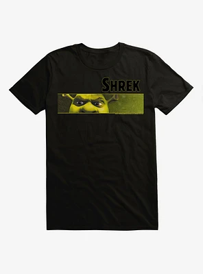 Shrek Rectangle Frame T-Shirt