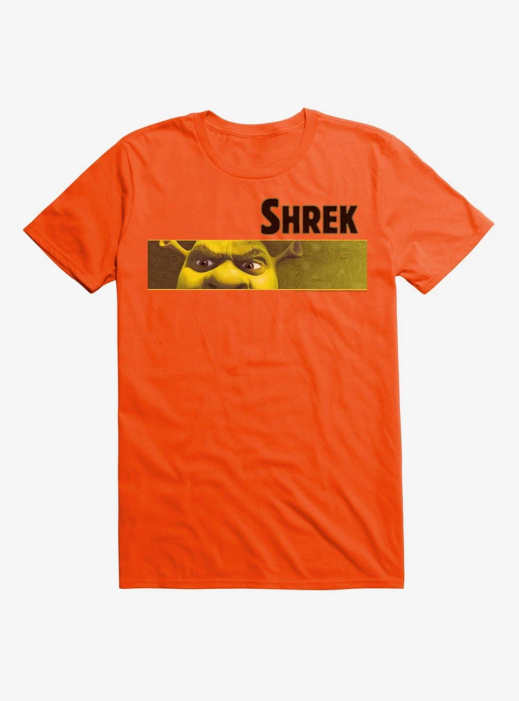 Shrek Rectangle Frame T-Shirt