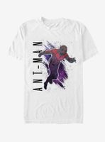 Marvel Avengers Endgame Ant-Man Painted T-Shirt