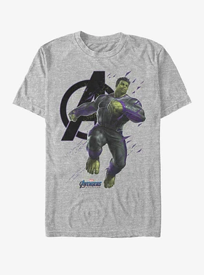 Marvel Avengers: Endgame Hulk Particles T-Shirt