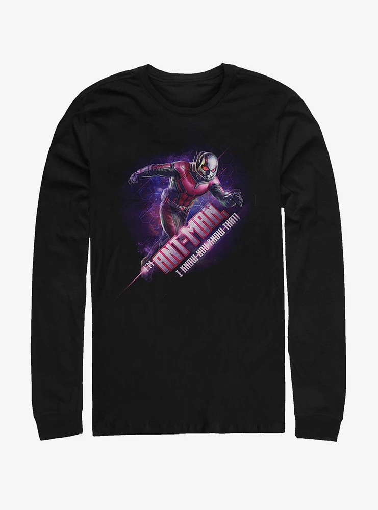 Marvel Avengers: Endgame Ant-Man Hex Long-Sleeve T-Shirt