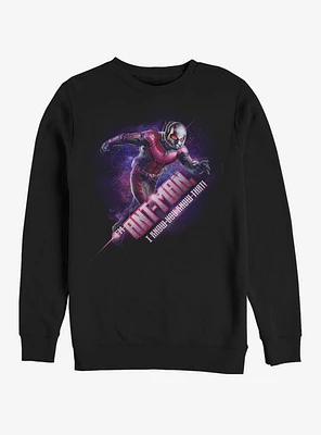 Marvel Avengers: Endgame Ant-Man Hex Sweatshirt