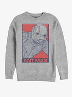 Marvel Avengers: Endgame Pop Ant-Man Sweatshirt