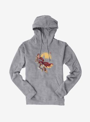 Harry Potter Seekers Search For Snitch Hoodie