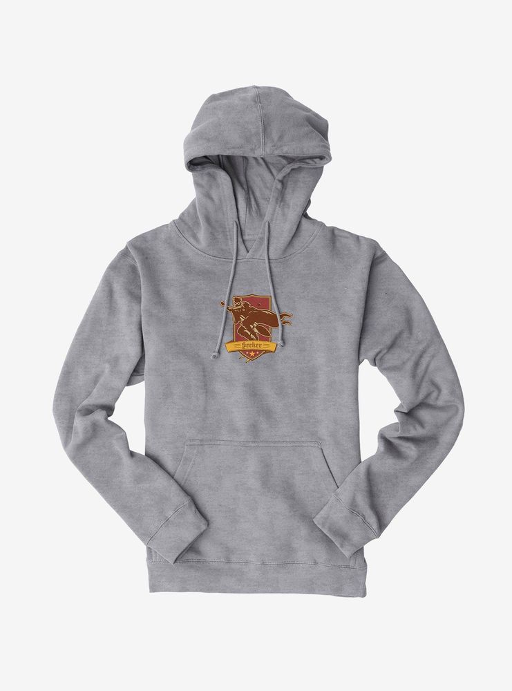 harry potter quidditch hoodie