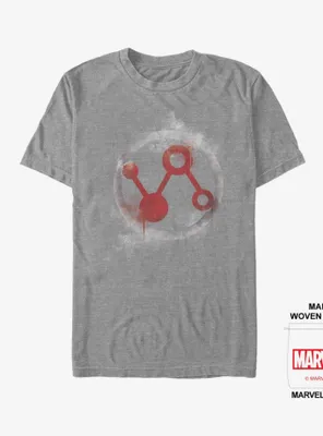 Marvel Avengers: Endgame Ant Man Spray Logo T-Shirt