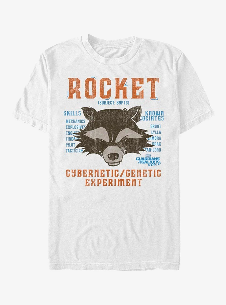 Marvel Guardians Of The Galaxy Not A Racoon T-Shirt