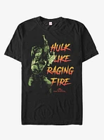 Marvel Hulk Raging Fire T-Shirt