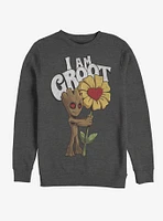 Marvel Guardians Of The Galaxy Mine Groot Sweatshirt