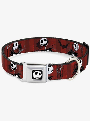 Nightmare Before Christmas Jack Poses Bats Red Stripe Seatbelt Buckle Dog Collar