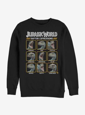 Jurassic World Expressions of Raptor Sweatshirt