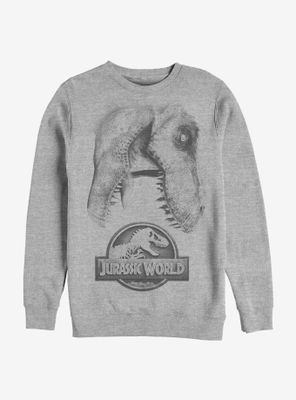 Jurassic World Large Rex Sweatshirt