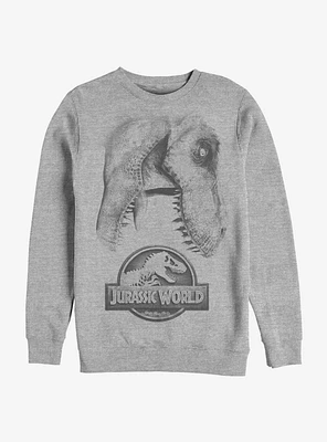 Jurassic World Large Rex Sweatshirt