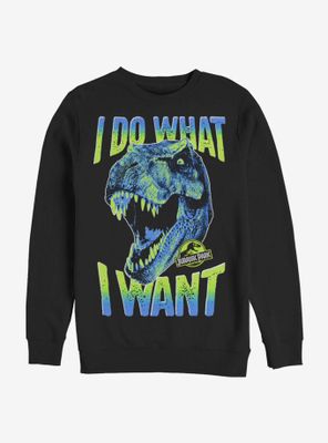 Jurassic Park What I Want Sweatshirt