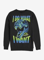 Jurassic Park What I Want Sweatshirt