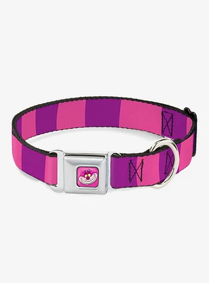 Disney Alice Wonderland Cheshire Cat Striped Seatbelt Buckle Dog Collar