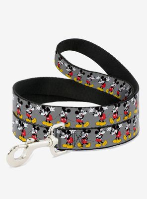 Disney Mickey Mouse Glasses Poses Dog Leash