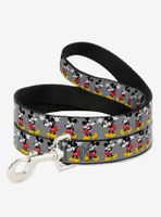 Disney Mickey Mouse Glasses Poses Dog Leash