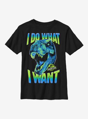Jurassic Park What I Want Youth T-Shirt