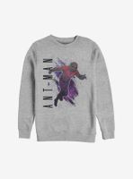 Marvel Ant-Man Painted Sweatshirt