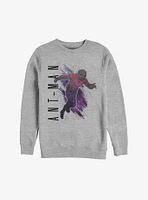 Marvel Ant-Man Painted Sweatshirt