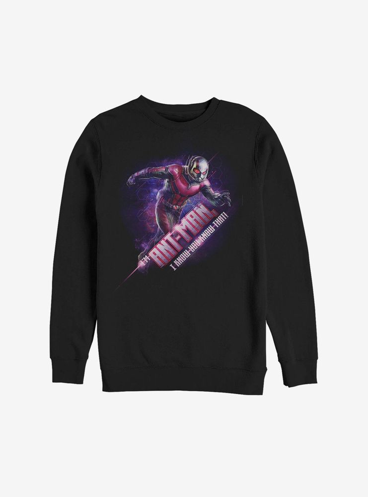 Marvel Ant-Man Hex Sweatshirt