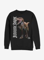 Jurassic Park Velociraptor Sweatshirt