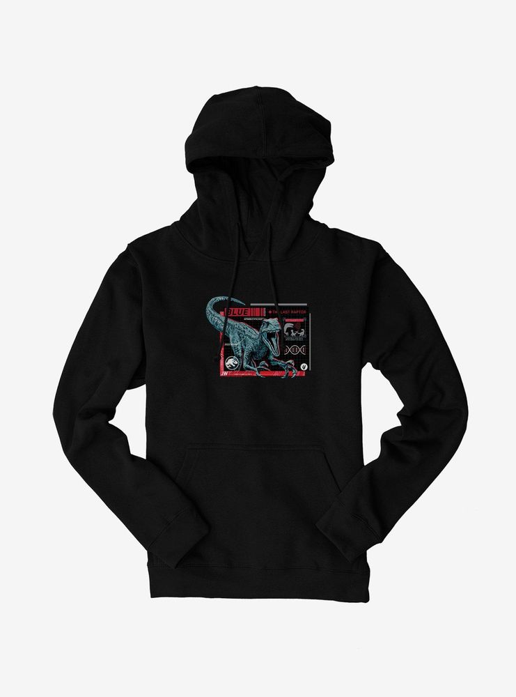 Jurassic World Blue Specs Hoodie