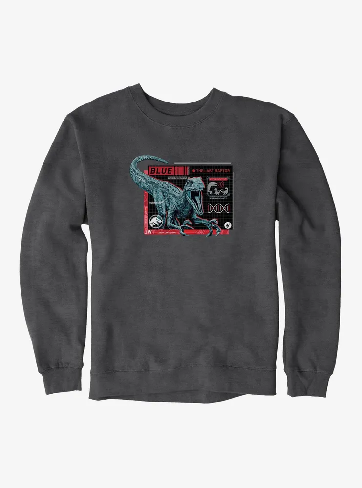 Jurassic World Blue Specs Sweatshirt