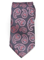 DC Comics Superman Red and Blue Paisley Tie