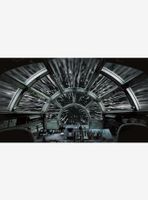 Star Wars Millennium Falcon Peel and Stick Mural