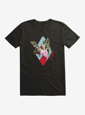 DC Comics Birds Of Prey Harley Quinn Diamond Pose T-Shirt