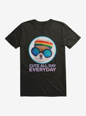 Boo The World's Cutest Dog Cute All Day Everyday T-Shirt