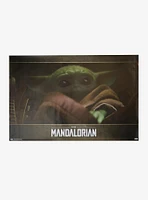 Star Wars The Mandalorian The Child Poster