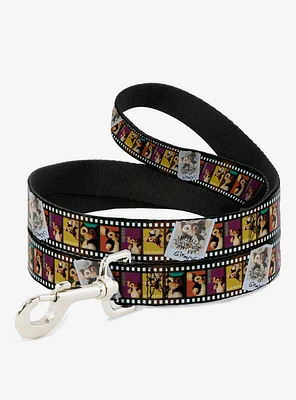 Gremlins Gizmo Filmstrip Poses Dog Leash